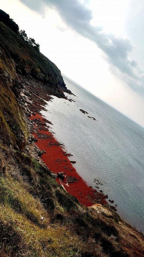 Ker Goh Velin Villa Saint-Gildas-de-Rhuys Dış mekan fotoğraf